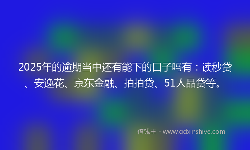 2025年的逾期当中还有能下的口子吗有：读秒贷、安逸花、京东金融、拍拍贷、51人品贷等。
