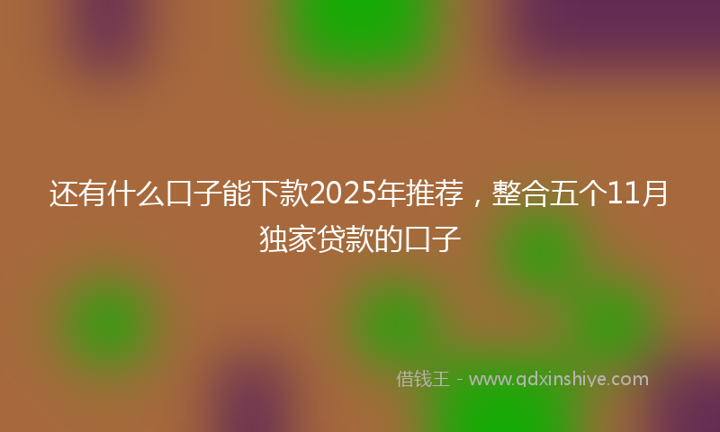 还有什么口子能下款2025年推荐，整合五个11月独家贷款的口子