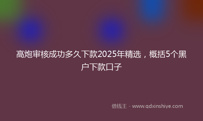 高炮审核成功多久下款2025年精选，概括5个黑户下款口子