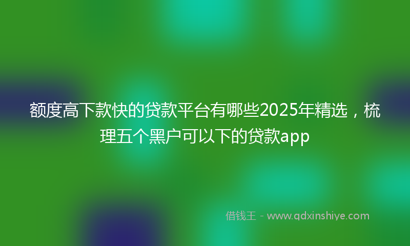 额度高下款快的贷款平台有哪些2025年精选，梳理五个黑户可以下的贷款app