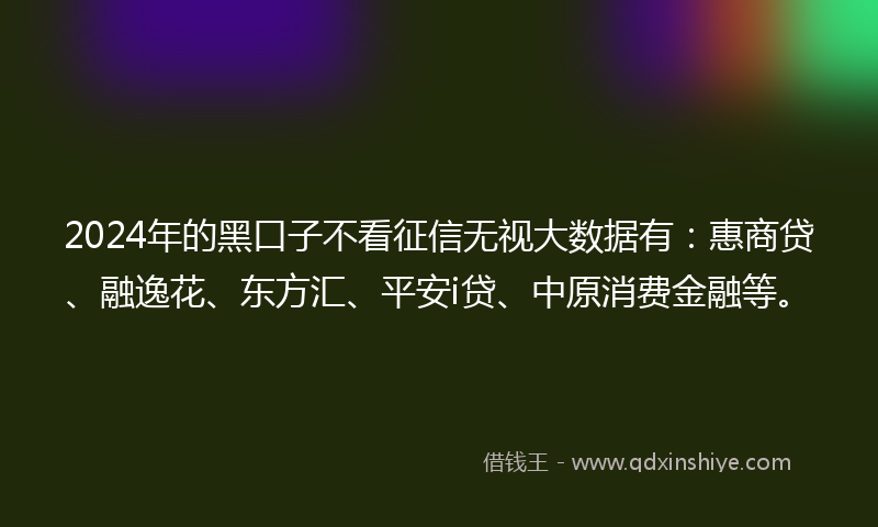2024年的黑口子不看征信无视大数据有：惠商贷、融逸花、东方汇、平安i贷、中原消费金融等。