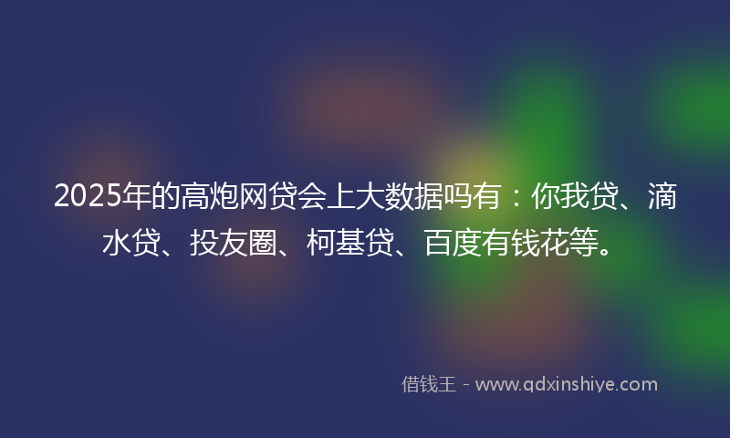 2025年的高炮网贷会上大数据吗有：你我贷、滴水贷、投友圈、柯基贷、百度有钱花等。