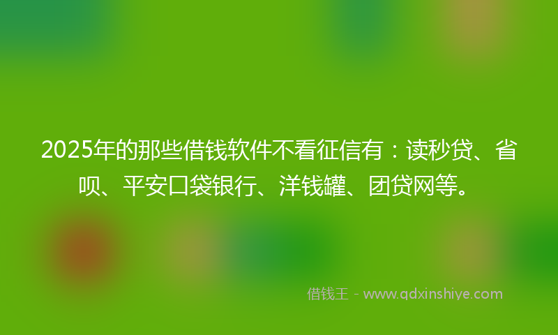 2025年的那些借钱软件不看征信有：读秒贷、省呗、平安口袋银行、洋钱罐、团贷网等。