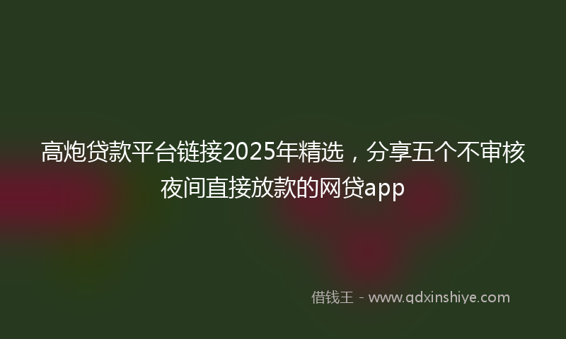 高炮贷款平台链接2025年精选，分享五个不审核夜间直接放款的网贷app