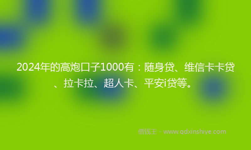 2024年的高炮口子1000有：随身贷、维信卡卡贷、拉卡拉、超人卡、平安i贷等。