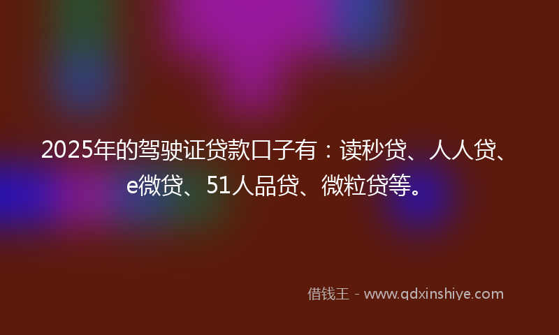 2025年的驾驶证贷款口子有：读秒贷、人人贷、e微贷、51人品贷、微粒贷等。