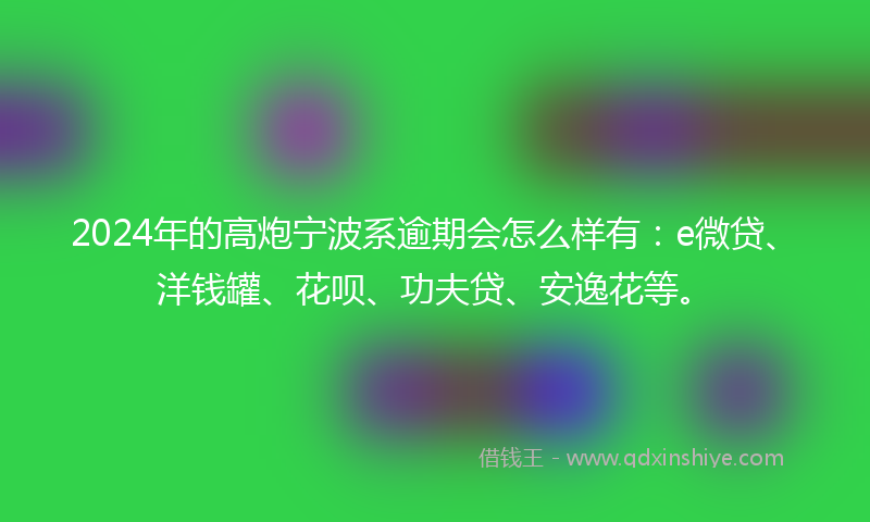 2024年的高炮宁波系逾期会怎么样有：e微贷、洋钱罐、花呗、功夫贷、安逸花等。