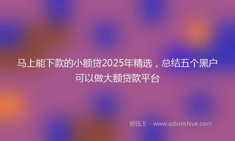 马上能下款的小额贷2025年精选，总结五个黑户可以做大额贷款平台