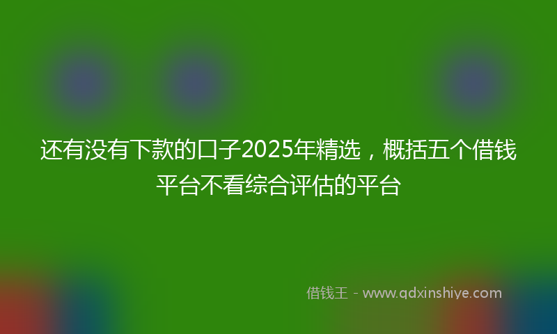 还有没有下款的口子2025年精选，概括五个借钱平台不看综合评估的平台