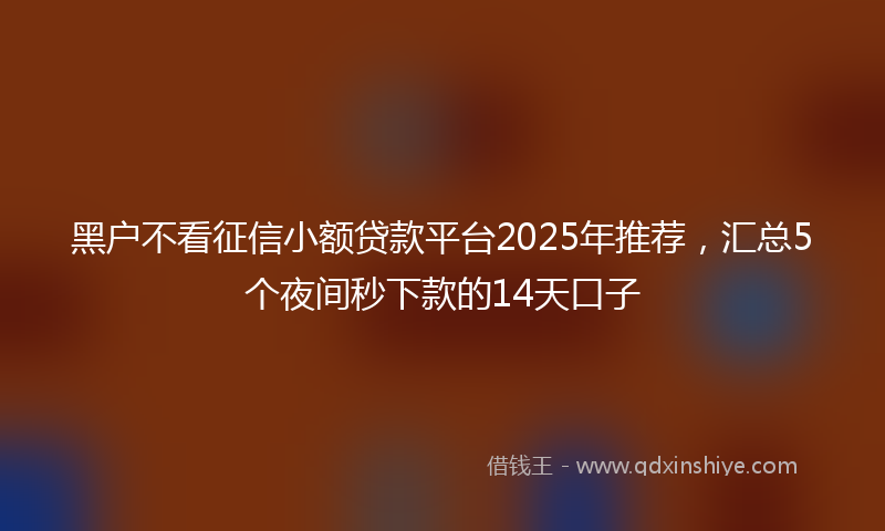 黑户不看征信小额贷款平台2025年推荐，汇总5个夜间秒下款的14天口子