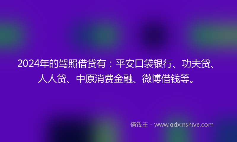 2024年的驾照借贷有：平安口袋银行、功夫贷、人人贷、中原消费金融、微博借钱等。
