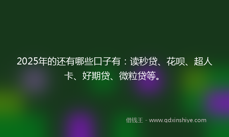 2025年的还有哪些口子有：读秒贷、花呗、超人卡、好期贷、微粒贷等。