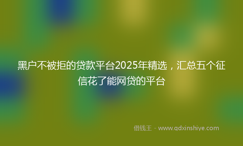 黑户不被拒的贷款平台2025年精选，汇总五个征信花了能网贷的平台