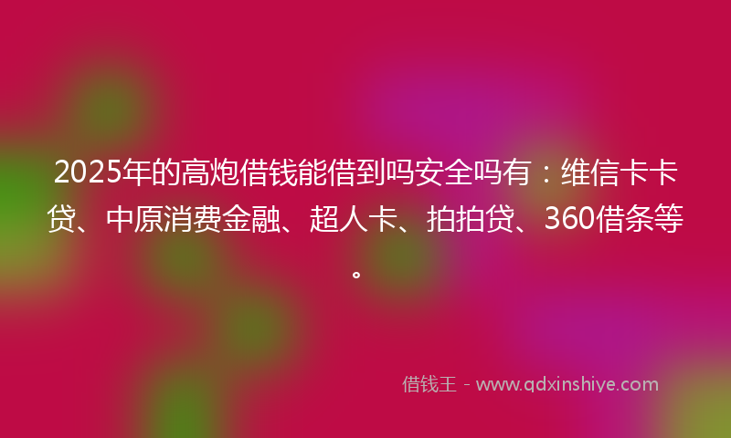 2025年的高炮借钱能借到吗安全吗有：维信卡卡贷、中原消费金融、超人卡、拍拍贷、360借条等。
