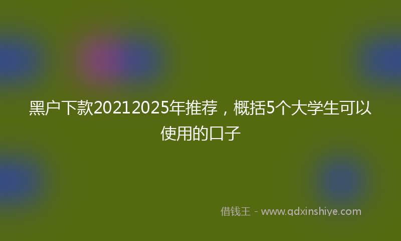 黑户下款20212025年推荐，概括5个大学生可以使用的口子