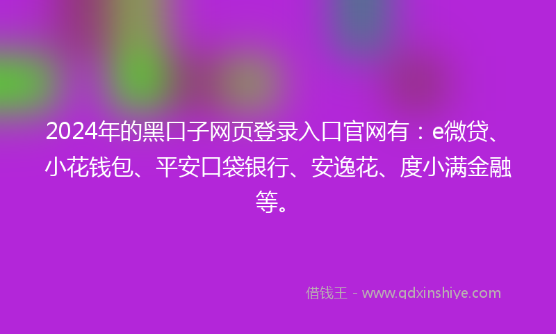 2024年的黑口子网页登录入口官网有：e微贷、小花钱包、平安口袋银行、安逸花、度小满金融等。