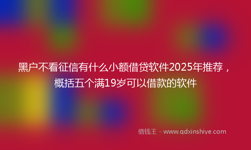 黑户不看征信有什么小额借贷软件2025年推荐，概括五个满19岁可以借款的软件