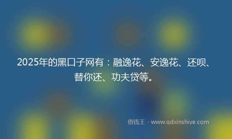2025年的黑口子网有：融逸花、安逸花、还呗、替你还、功夫贷等。