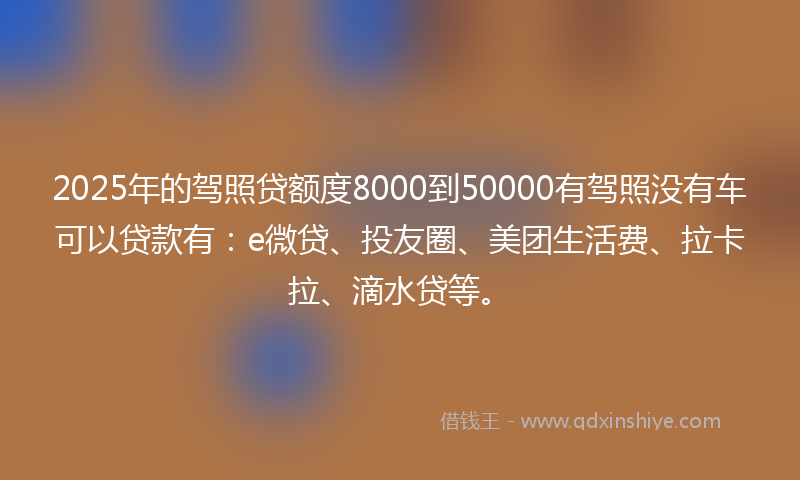 2025年的驾照贷额度8000到50000有驾照没有车可以贷款有：e微贷、投友圈、美团生活费、拉卡拉、滴水贷等。
