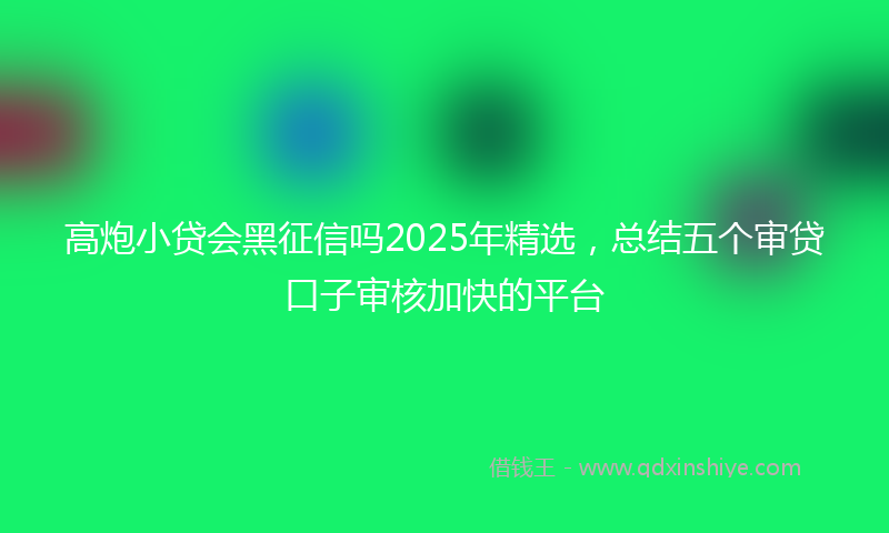高炮小贷会黑征信吗2025年精选，总结五个审贷口子审核加快的平台