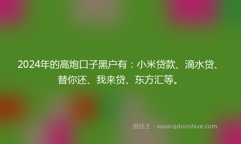 2024年的高炮口子黑户有：小米贷款、滴水贷、替你还、我来贷、东方汇等。