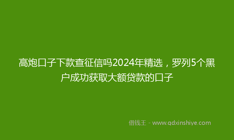 高炮口子下款查征信吗2024年精选，罗列5个黑户成功获取大额贷款的口子