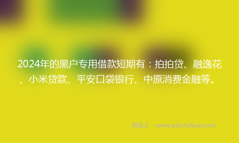 2024年的黑户专用借款短期有：拍拍贷、融逸花、小米贷款、平安口袋银行、中原消费金融等。