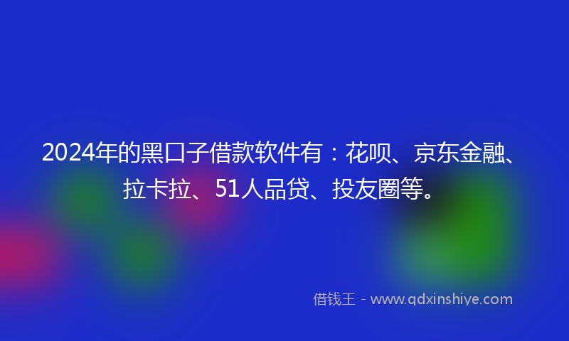 2024年的黑口子借款软件有：花呗、京东金融、拉卡拉、51人品贷、投友圈等。
