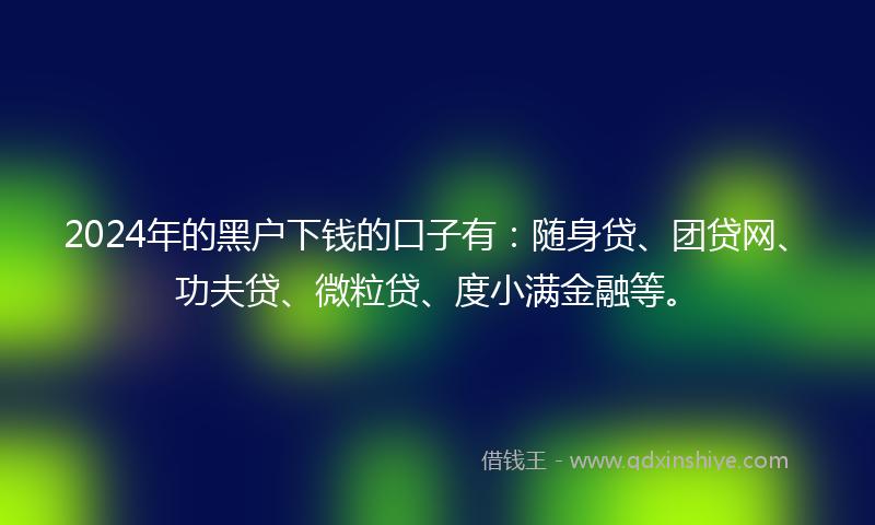 2024年的黑户下钱的口子有：随身贷、团贷网、功夫贷、微粒贷、度小满金融等。
