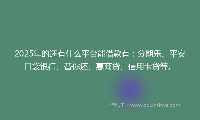 2025年的还有什么平台能借款有：分期乐、平安口袋银行、替你还、惠商贷、信用卡贷等。