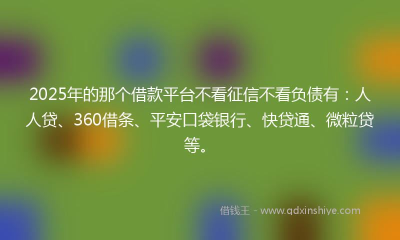 2025年的那个借款平台不看征信不看负债有：人人贷、360借条、平安口袋银行、快贷通、微粒贷等。