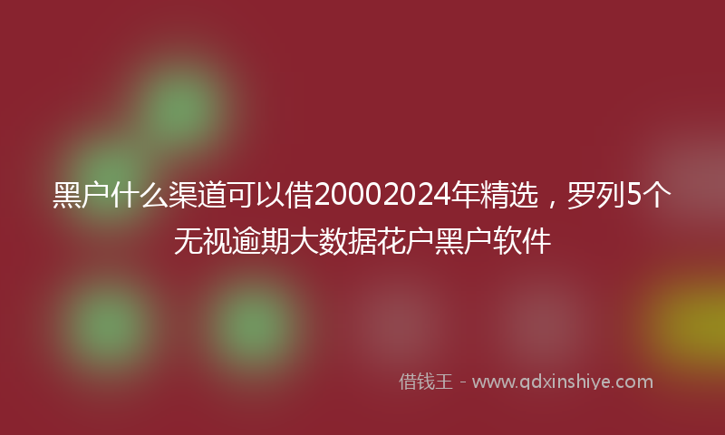 黑户什么渠道可以借20002024年精选，罗列5个无视逾期大数据花户黑户软件