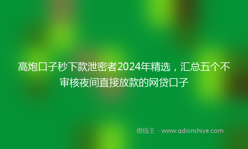 高炮口子秒下款泄密者2024年精选，汇总五个不审核夜间直接放款的网贷口子