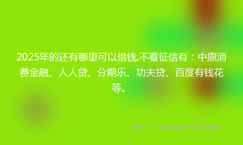 2025年的还有哪里可以借钱,不看征信有：中原消费金融、人人贷、分期乐、功夫贷、百度有钱花等。