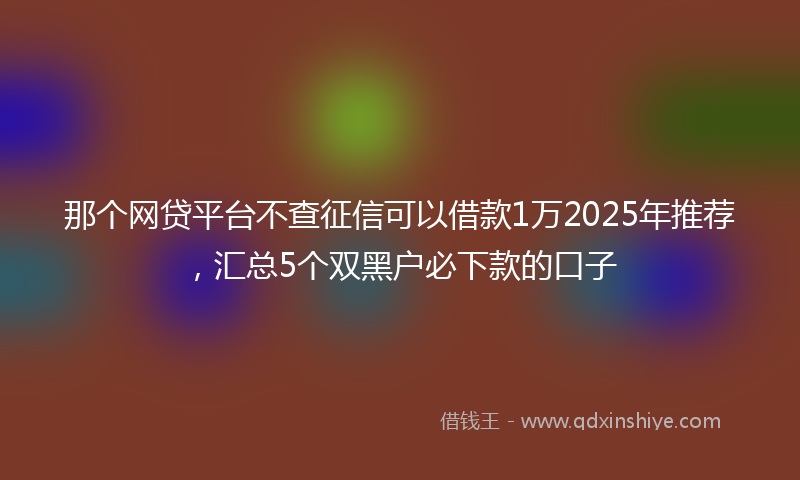 那个网贷平台不查征信可以借款1万2025年推荐，汇总5个双黑户必下款的口子