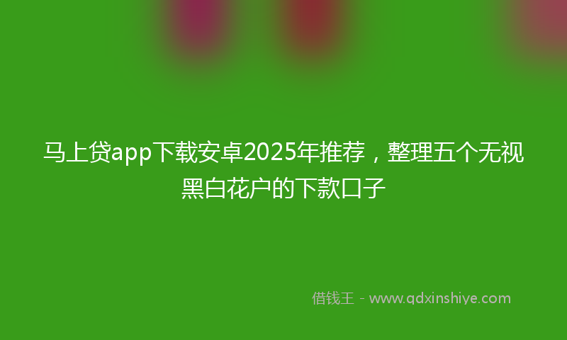 马上贷app下载安卓2025年推荐，整理五个无视黑白花户的下款口子