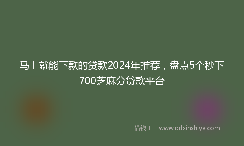 马上就能下款的贷款2024年推荐，盘点5个秒下700芝麻分贷款平台