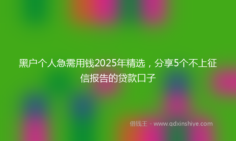 黑户个人急需用钱2025年精选，分享5个不上征信报告的贷款口子