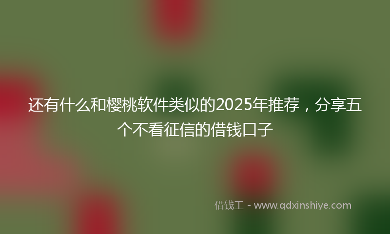还有什么和樱桃软件类似的2025年推荐，分享五个不看征信的借钱口子