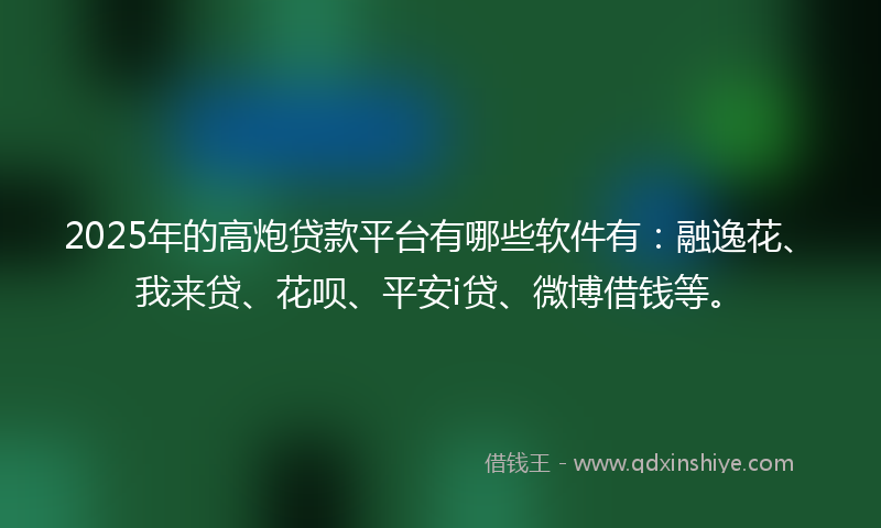 2025年的高炮贷款平台有哪些软件有：融逸花、我来贷、花呗、平安i贷、微博借钱等。