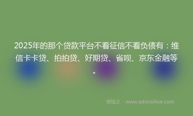 2025年的那个贷款平台不看征信不看负债有：维信卡卡贷、拍拍贷、好期贷、省呗、京东金融等。