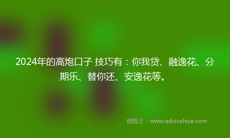 2024年的高炮口子 技巧有：你我贷、融逸花、分期乐、替你还、安逸花等。