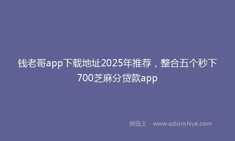 钱老哥app下载地址2025年推荐，整合五个秒下700芝麻分贷款app