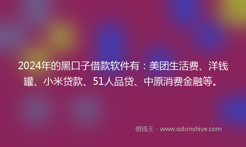 2024年的黑口子借款软件有：美团生活费、洋钱罐、小米贷款、51人品贷、中原消费金融等。