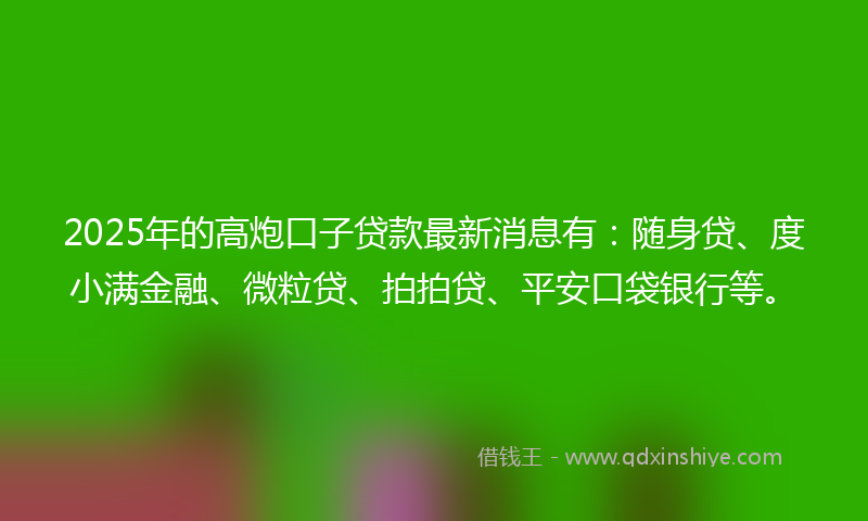 2025年的高炮口子贷款最新消息有：随身贷、度小满金融、微粒贷、拍拍贷、平安口袋银行等。