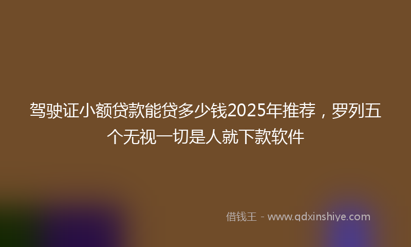 驾驶证小额贷款能贷多少钱2025年推荐，罗列五个无视一切是人就下款软件