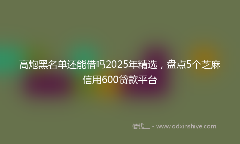 高炮黑名单还能借吗2025年精选，盘点5个芝麻信用600贷款平台