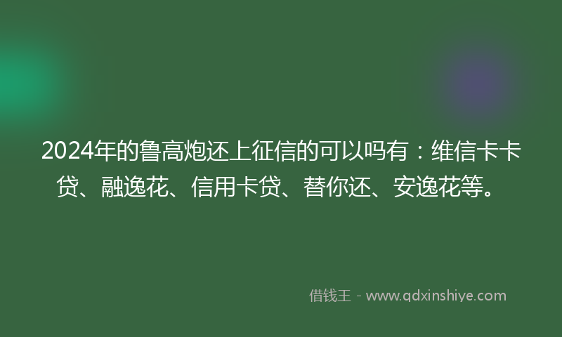 2024年的鲁高炮还上征信的可以吗有：维信卡卡贷、融逸花、信用卡贷、替你还、安逸花等。