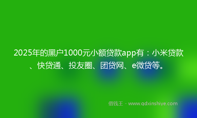 2025年的黑户1000元小额贷款app有：小米贷款、快贷通、投友圈、团贷网、e微贷等。
