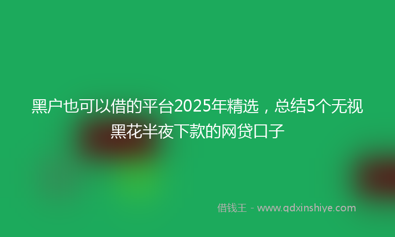 黑户也可以借的平台2025年精选，总结5个无视黑花半夜下款的网贷口子